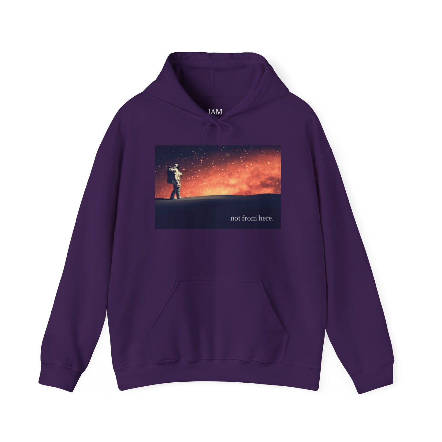 Astronaut Walking - "Not From Here" - Multi-Colors Unisex Hoodie