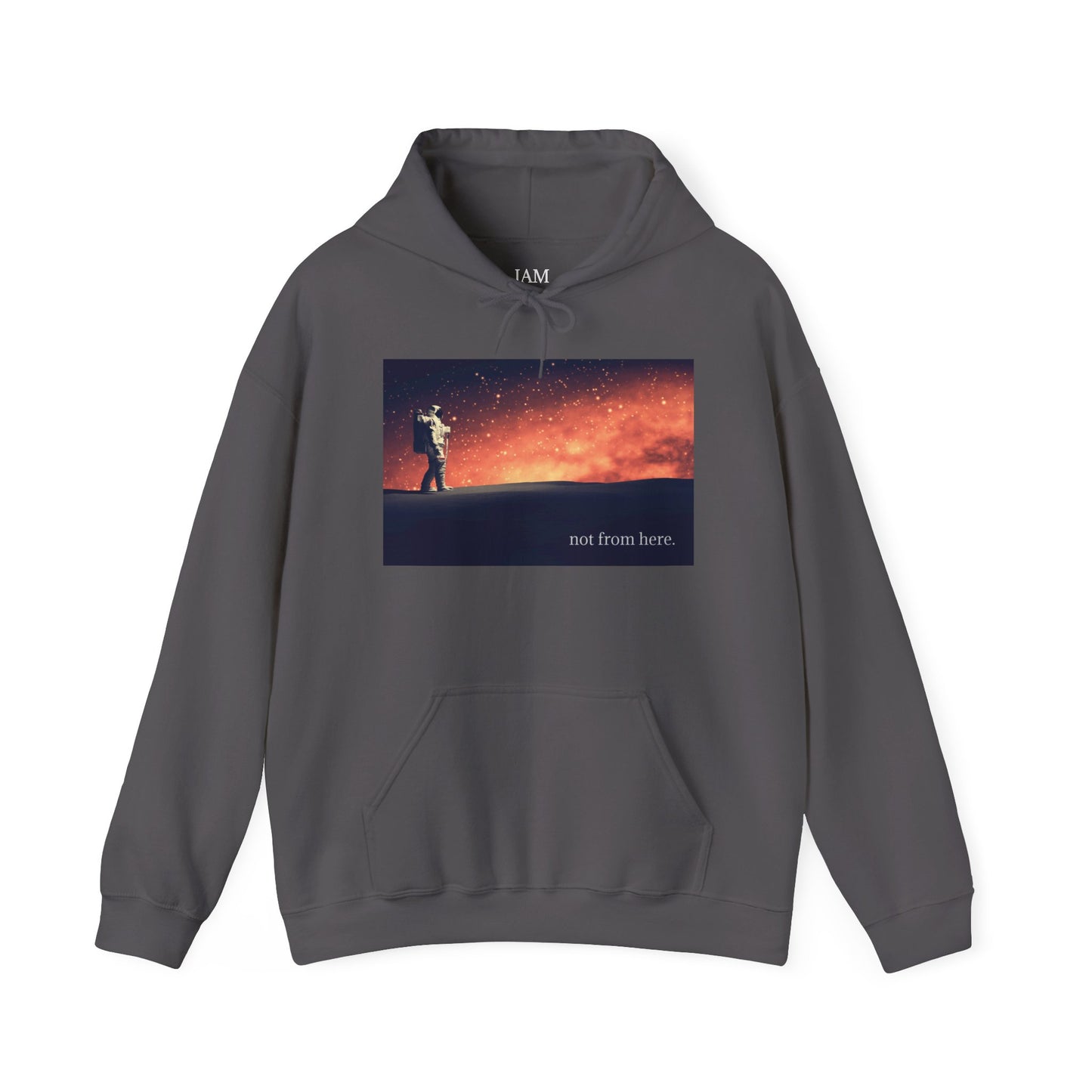 Astronaut Walking - "Not From Here" - Multi-Colors Unisex Hoodie