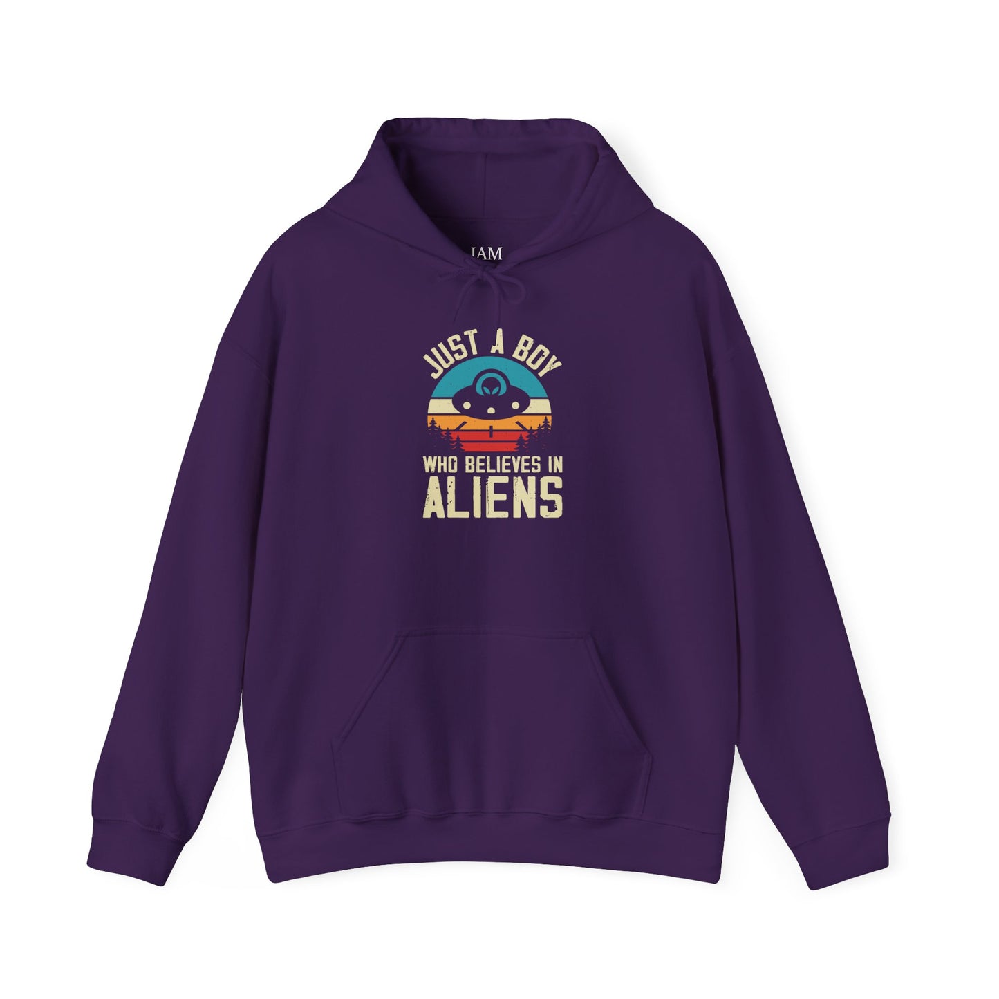 Just a Boy Who Believes in Aliens - Multi-Colors Unisex Hoodie