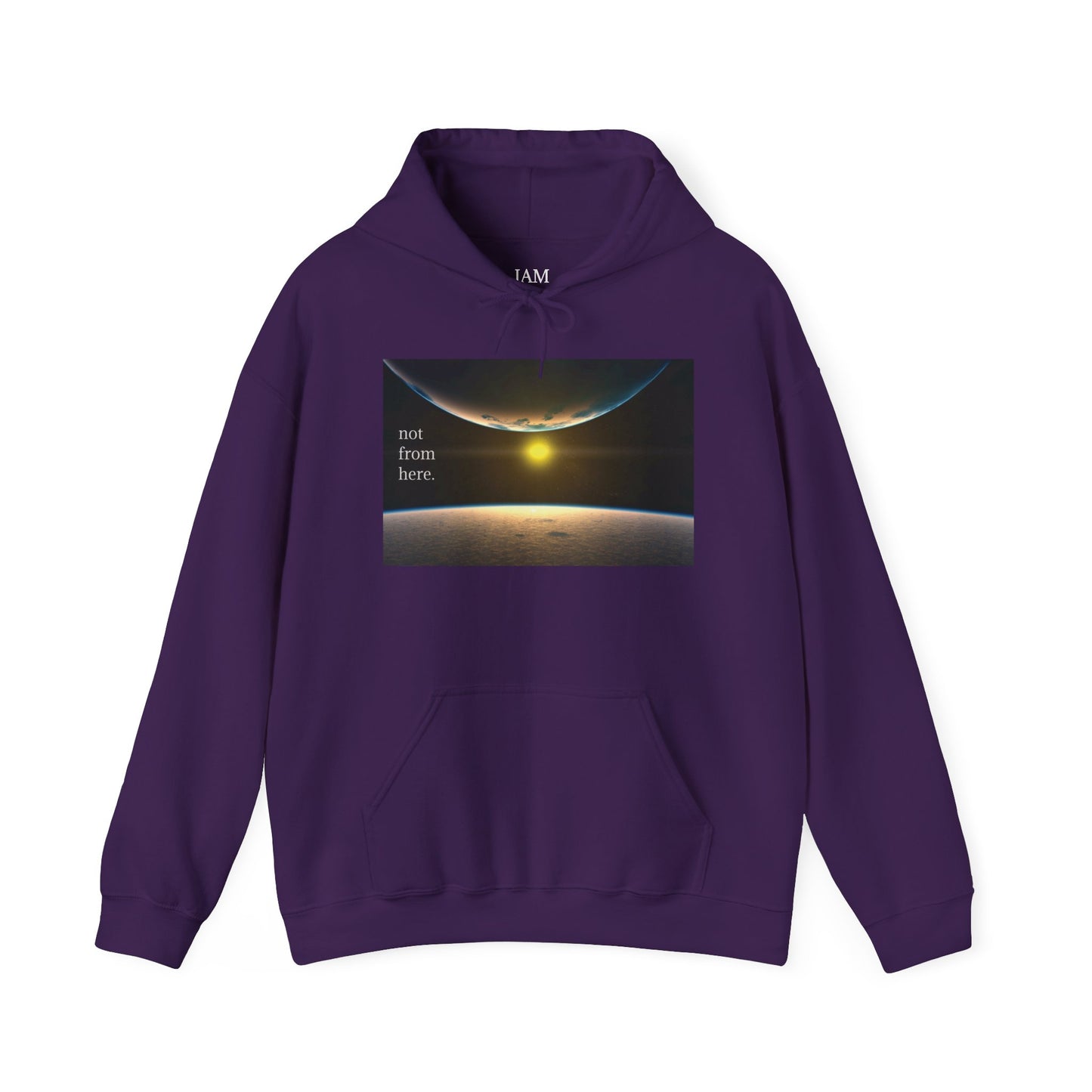 Outer Space - "Not From Here" - Multi-Colors Unisex Hoodie