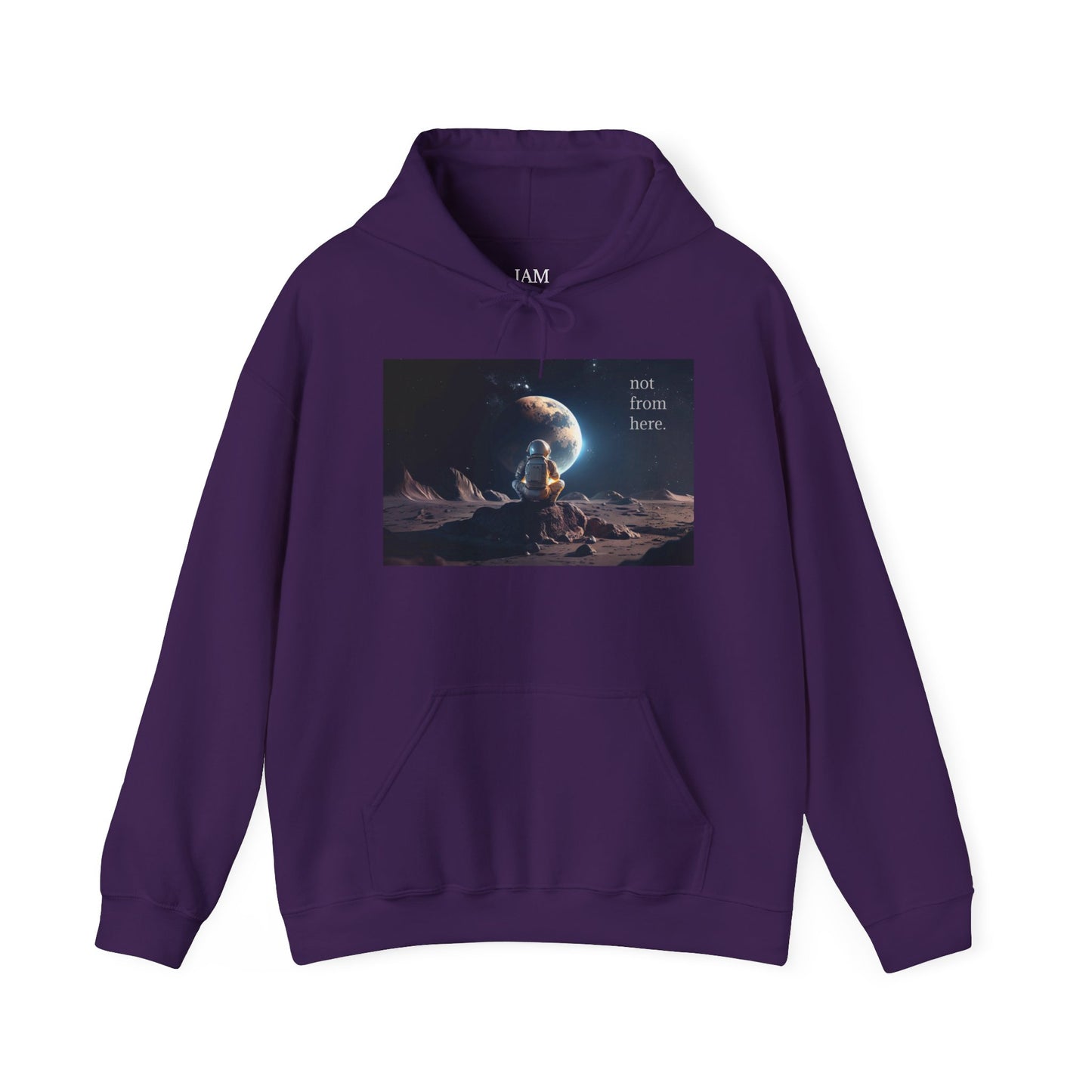 Astronaut Gazing - "Not From Here" - Multi-Colors Unisex Hoodie