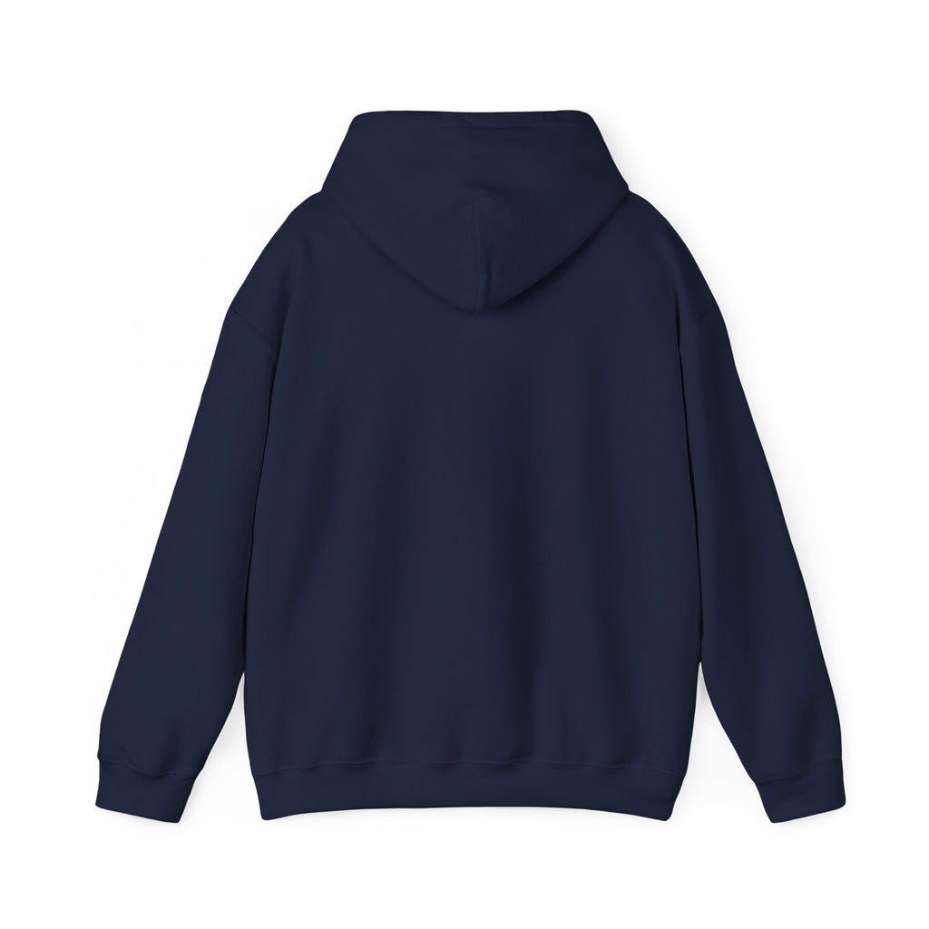 Astronaut Walking - "Not From Here" - Multi-Colors Unisex Hoodie