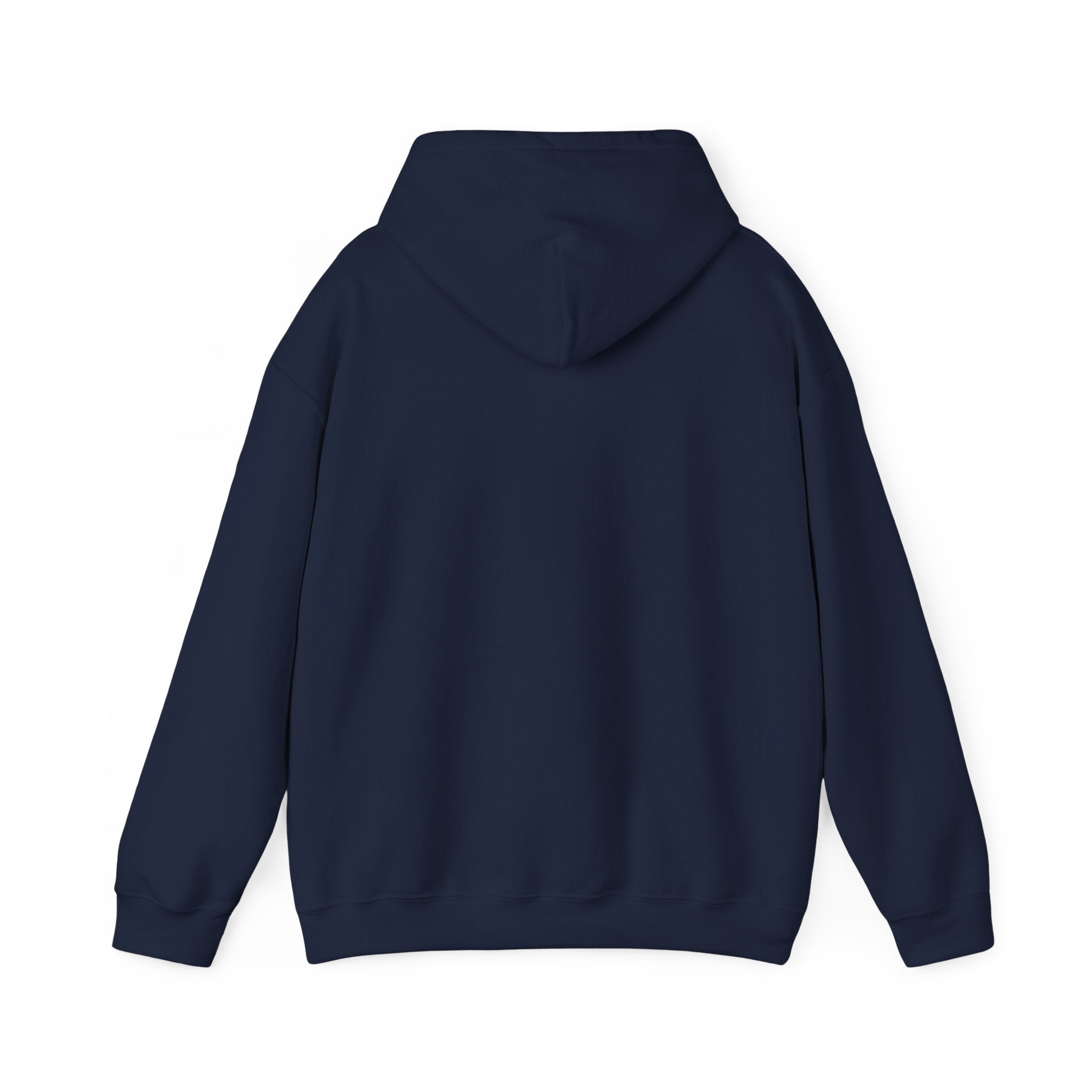 Astronaut Walking - "Not From Here" - Multi-Colors Unisex Hoodie
