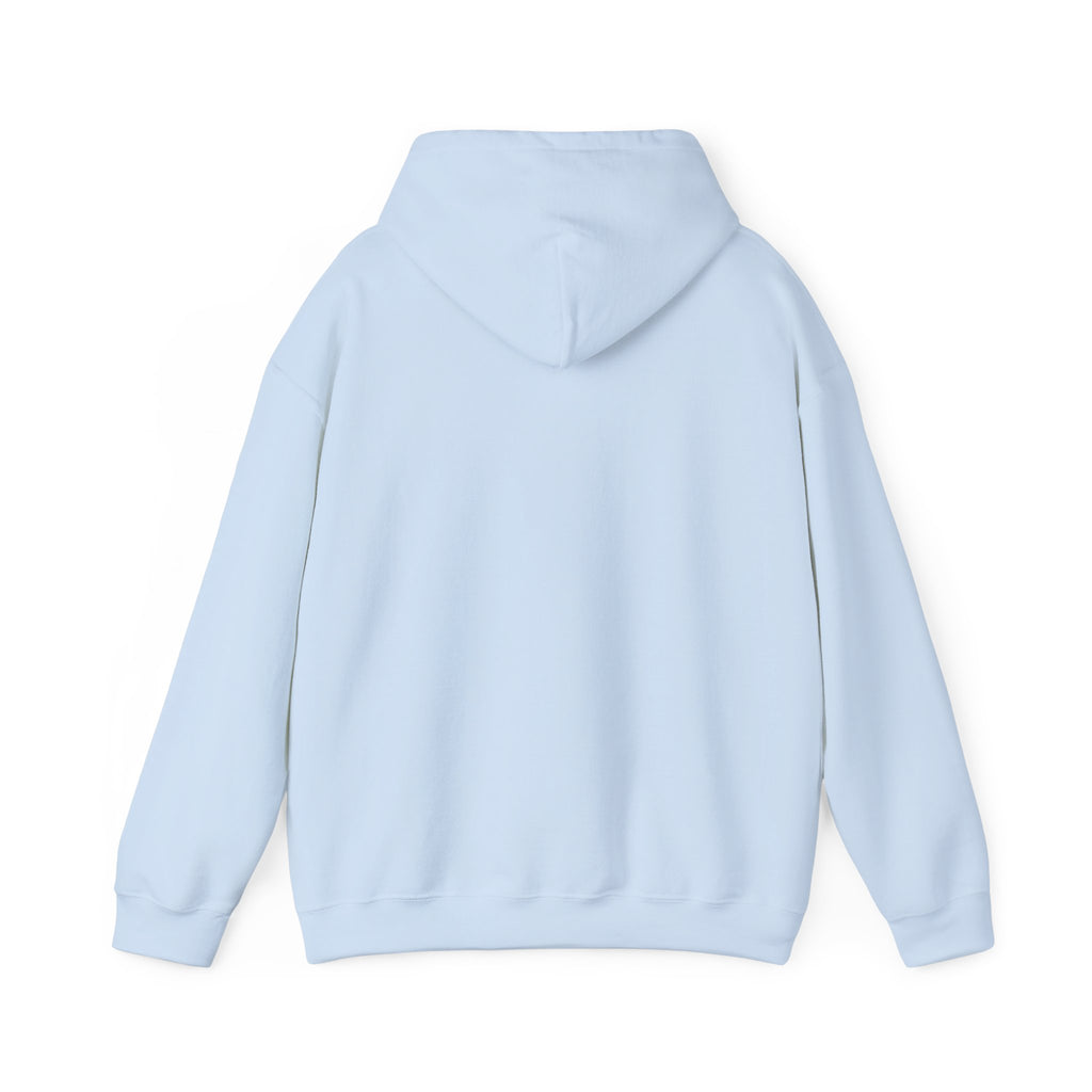 Outer Space - "Not From Here" - Multi-Colors Unisex Hoodie