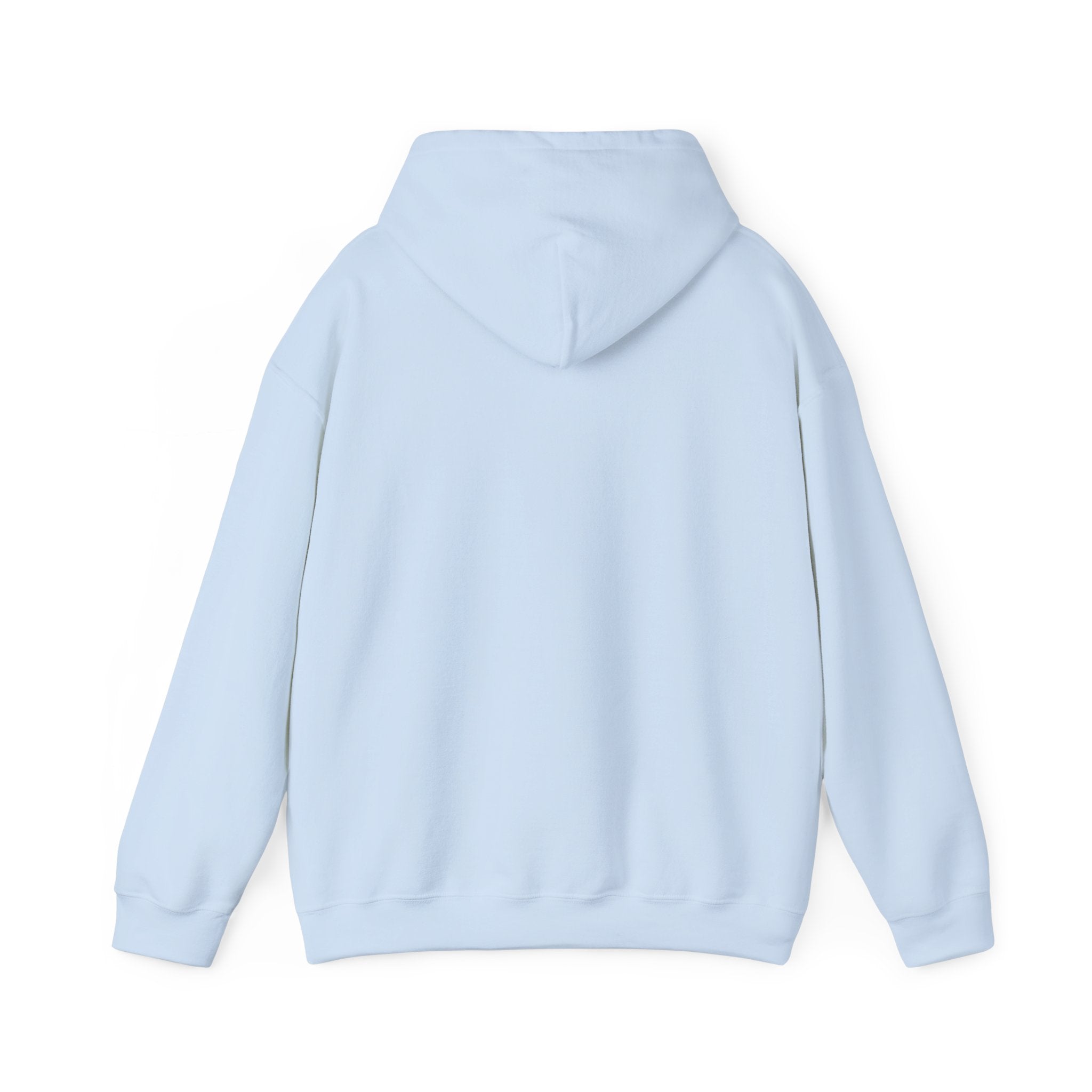 Outer Space - "Not From Here" - Multi-Colors Unisex Hoodie
