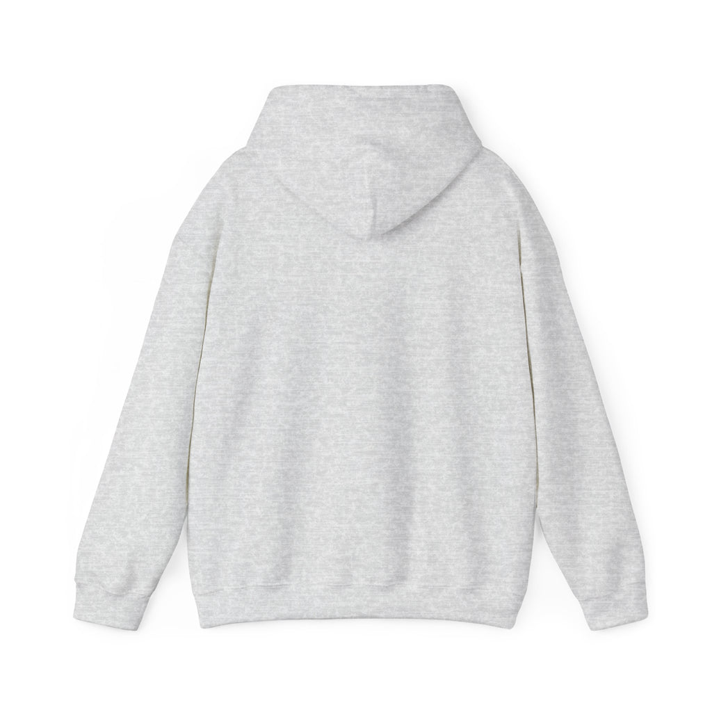 Real Leaders Liberate People - SPACIOUS - Gildon Unisex Hoodie